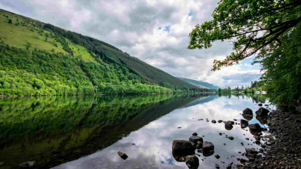 Captivating Moments: A Photograph Taken in Scotland